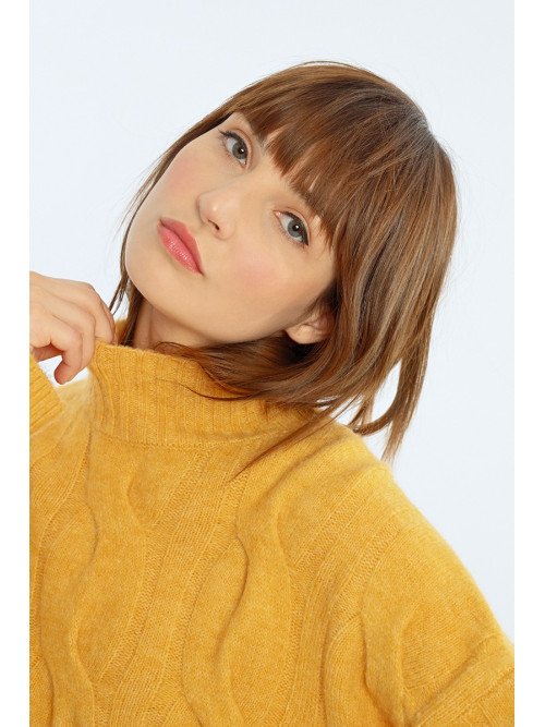Pull col montant manches longues torsade large