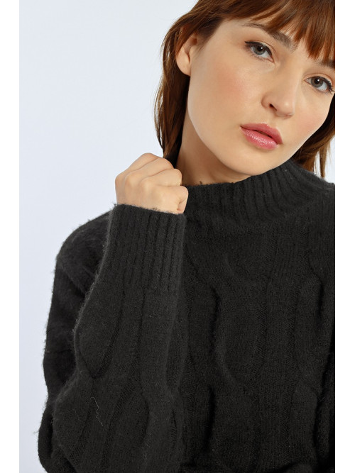 Pull col montant manches longues torsade large