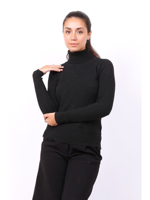 Pull col roulé manches longues