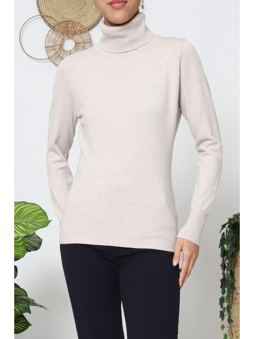 Pull fin col roulé manches longues sans laine