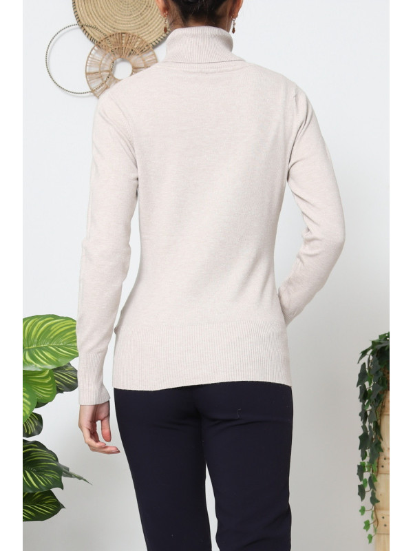 Pull fin col roulé manches longues sans laine