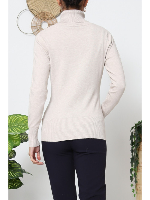 Pull fin col roulé manches longues sans laine