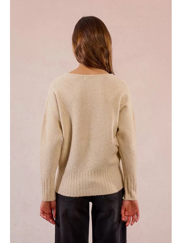 Pull avec sequins col V