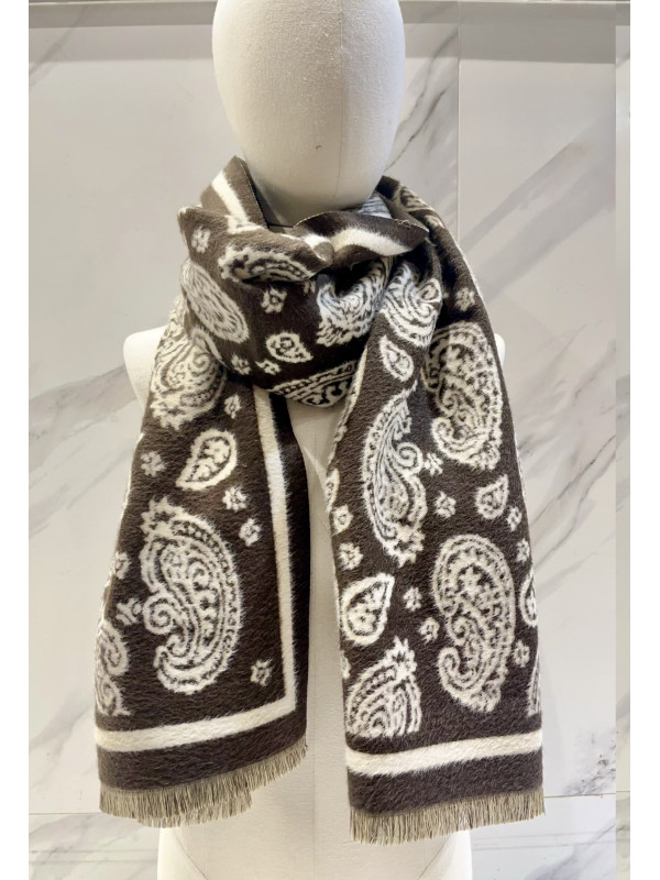 Écharpe imprimé cachemire bicolore