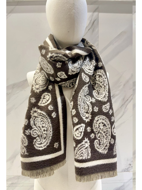 Écharpe imprimé cachemire bicolore